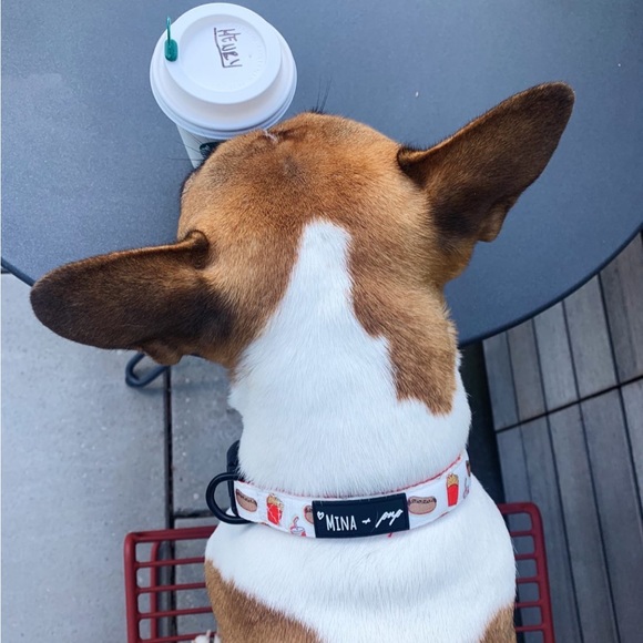 Cutest dog collar 🌭🥤🍔 - Picture 1 of 7